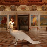 Seletti Peacock lampada a led da terra per interno
