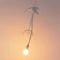 Seletti Sparrow Taking off indoor led wall lamp Seletti Sparrow Taking off indoor led wall lamp