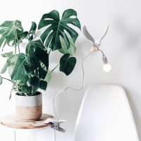 Seletti Sparrow Landing indoor led table lamp
