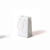 Seletti Daily glow Shopper led battery table lamp