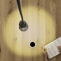 copy of Daylight lampadina led E27 R125 11W dimmerabile