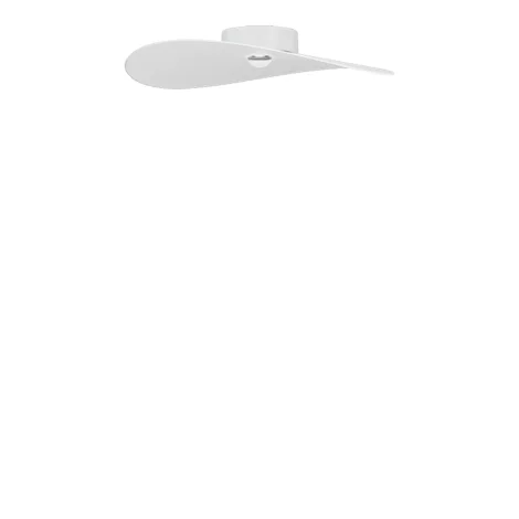 copy of Cini&Nils Roma ceiling lamp