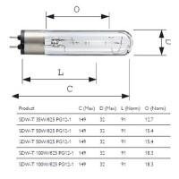 Philips Master SDW-T 100W 825 PG12-1 Lampadina Scarica Vapori