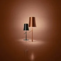 Foscarini Birdie led table lamp