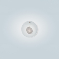 Foscarini Gioia led wall lamp