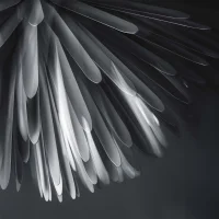 Foscarini Sun Light of Love lampada led a sospensione