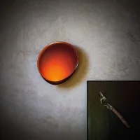 Foscarini Lake led wall lamp