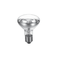 R80 42W E27 satinata Lampadina Alogena