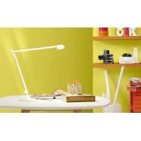 Panzeri Opuntia table lamp