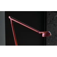 Panzeri Opuntia table lamp