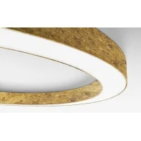 Panzeri Silver Ring Ceiling Lamp