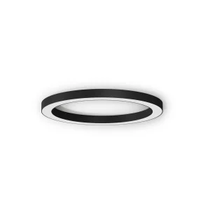 Panzeri Silver Ring Ceiling Lamp