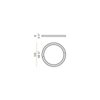 Panzeri Silver Ring Ceiling Lamp