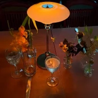 Louis Poulsen PH 2/1 Portable lampada a batteria