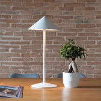 Zafferano Pina L Desk battery table lamp
