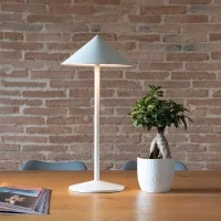 Zafferano Pina L Desk battery table lamp