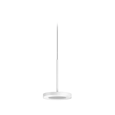 Panzeri Bella suspension lamp for composition