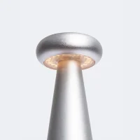 Alessi Bedin lampada da tavolo a batteria