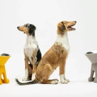 Slide x United Pets Elizabeth raised dog bowl stand