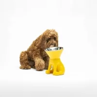 Slide x United Pets Elizabeth raised dog bowl stand