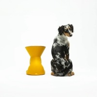 Slide x United Pets Elizabeth alzaciotola per cani