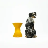 Slide x United Pets Elizabeth raised dog bowl stand