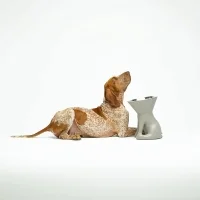 Slide x United Pets Elizabeth alzaciotola per cani Slide x United Pets Elizabeth alzaciotola per cani