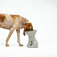 Slide x United Pets Elizabeth alzaciotola per cani Slide x United Pets Elizabeth alzaciotola per cani