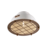 Ferroluce Industrial ceiling lamp