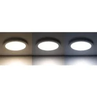 Lampo Faro SYDNEY 25W da Incasso Con Emergenza LED Tondo