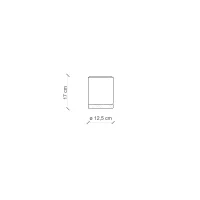 Ferroluce Mateca ceiling spotlight
