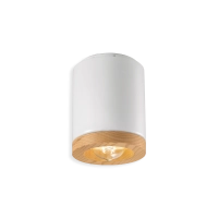 Ferroluce Mateca ceiling spotlight