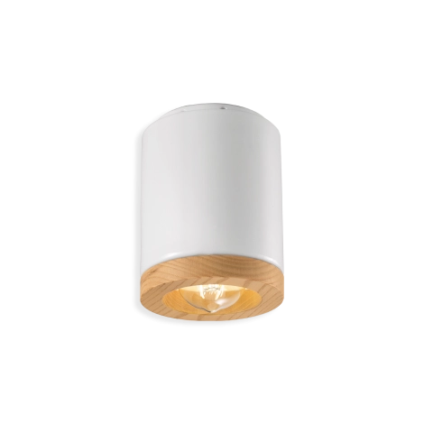 Ferroluce Mateca ceiling spotlight