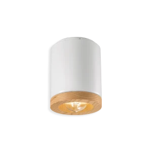 Ferroluce Mateca faretto da soffitto