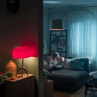 Foscarini Twiggy Wood led floor lamp Foscarini Twiggy Wood led floor lamp