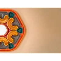 Ferroluce Phytia Multicolor wall lamp