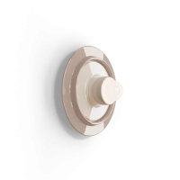 Ferroluce Voilà wall lamp