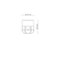 Ferroluce Industrial 2 lampada da soffitto