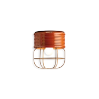 Ferroluce Industrial 2 lampada da soffitto