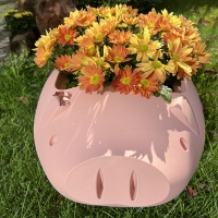 Red Hook Kevin The Bacon vase and storage container