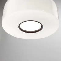 Flos Bellhop Glass suspension lamp