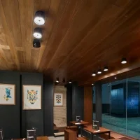 Flos WAN Spot Led adjustable recessed spotlight