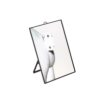 Seletti rectangular mirror toiletpaper