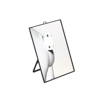 Seletti rectangular mirror toiletpaper