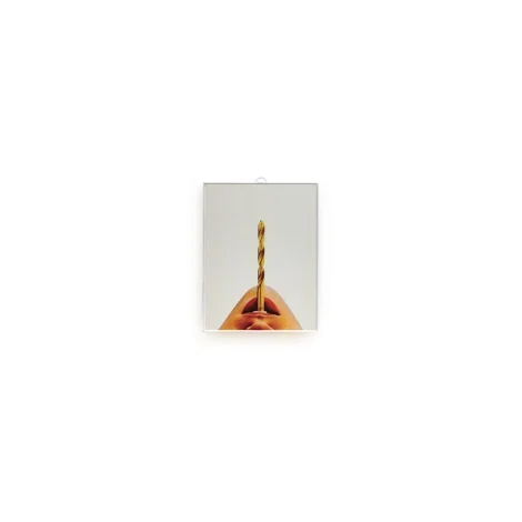 Seletti rectangular mirror toiletpaper