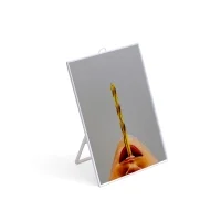 Seletti rectangular mirror toiletpaper