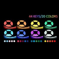 Lampo Strip Striscia LED RGB 5050 60led/m 24V 14.4W/mt Bobina 5