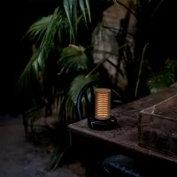 DCW Frechin a Table lampada da tavolo a batteria