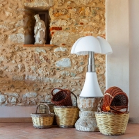 Martinelli Luce Pipistrello White Matt lampada da tavolo