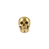 Seletti Wunderkammer aluminum skull